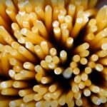 Spaghetti Barilla - Foto GTNews