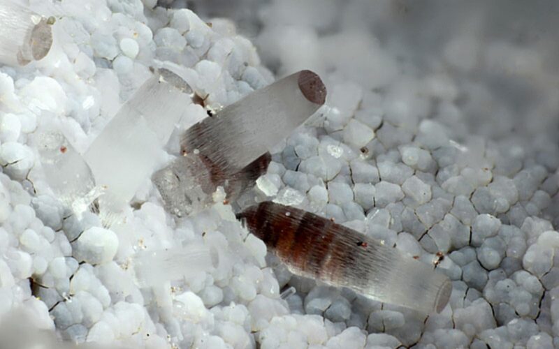 Erionite, la fibra killer più pericolosa dell’amianto: dove si trova