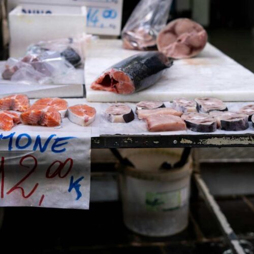Pesce coltivato in laboratorio contro le allergie