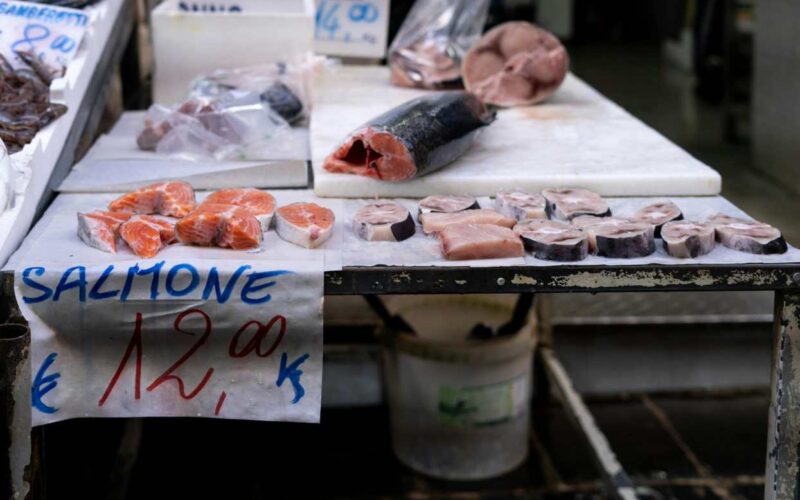 Pesce coltivato in laboratorio contro le allergie