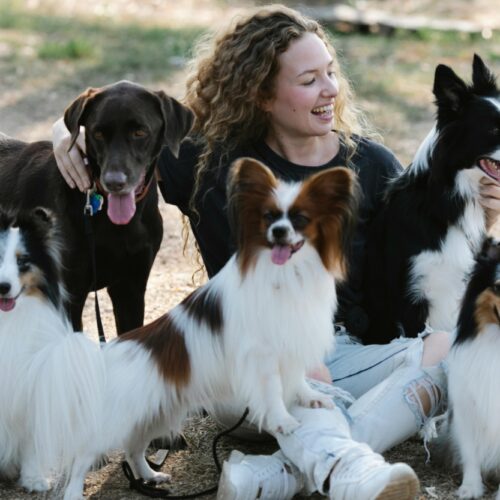 Fuga affettiva, nelle case più cani che figli: ecco perché