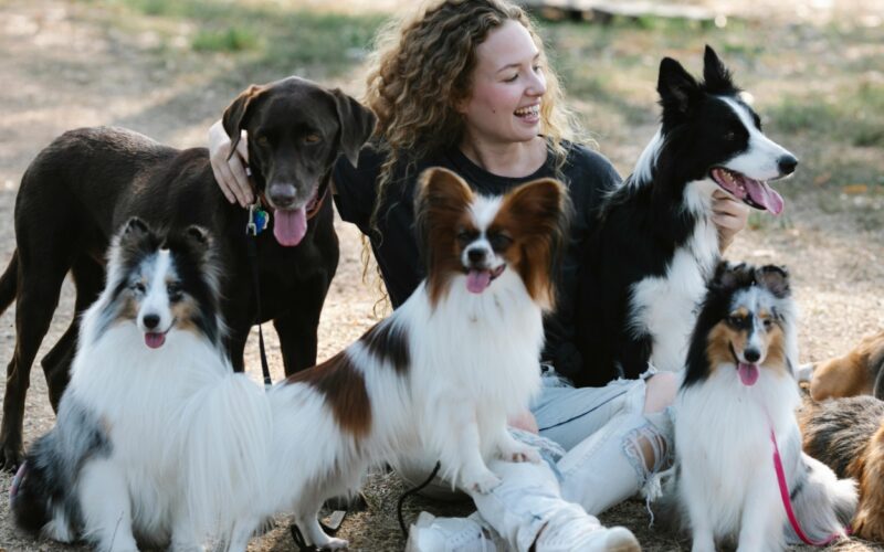 Fuga affettiva, nelle case più cani che figli: ecco perché