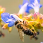 Foto di Dima Darii: https://www.pexels.com/it-it/foto/natura-blu-azzurro-giallo-18812852/