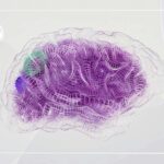 Foto di Google DeepMind: https://www.pexels.com/it-it/foto/astratto-tecnologia-ricerca-digitale-17483868/