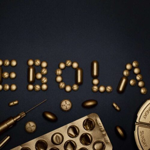 Ebola, una pillola ha curato delle scimmie infette
