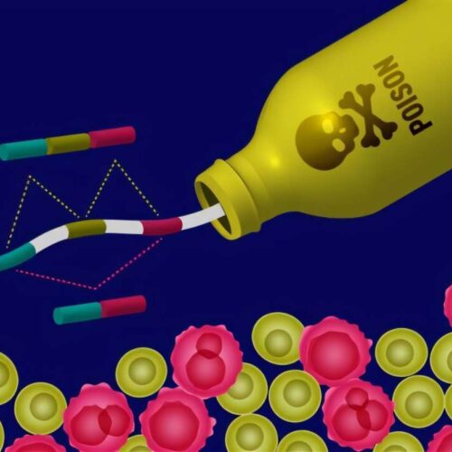 Cancro, scoperto il “kill switch” molecolare per fermarne la crescita