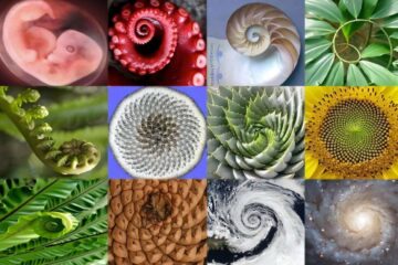 Universo e spirali, dall’apparente caos un ordine nascosto