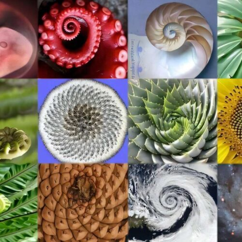 Universo e spirali, dall’apparente caos un ordine nascosto