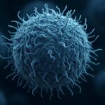 La rappresentazione di una cellula T - Foto GTNews