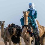 Popolo del deserto - Foto di Noureddine Belfethi: https://www.pexels.com/it-it/foto/persona-animali-equitazione-sfondi-per-desktop-10014724/