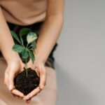 Agricoltura rigenerativa - Foto di Ron Lach : https://www.pexels.com/it-it/foto/impianto-pianta-tenendo-suolo-7944399/