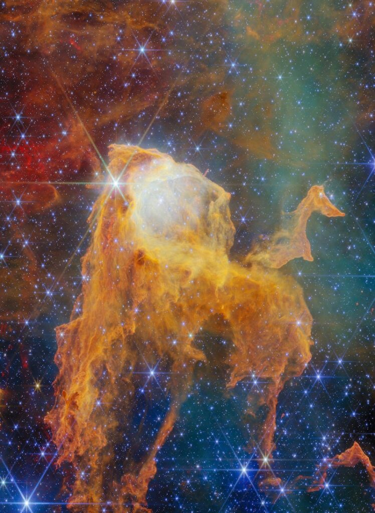 This NASA/ESA/CSA James Webb Space Telescope Picture of the Month takes us to a fantastical realm within our home galaxy, where piercing starlight and billowing winds sculpt dust clouds into inventive shapes. This scene is from the Carina Nebula, which lies just 7500 light-years away in the constellation Carina (the Keel). Spanning roughly 260 light-years, the nebula is home to an incredible collection of objects, including the Cosmic Cliffs revealed in the first-ever Webb image release. The Carina Nebula is also the nearest high-mass star-forming region that allows astronomers to study the full range of star formation. This nebula houses some of the most massive stars in our galaxy as well as tens of thousands of protostars, offering a valuable opportunity to understand how stars shape their neighbourhoods. The feature highlighted in today’s image, aptly called the Treasure Chest, looks right at home in this celestial sculpture garden. The Treasure Chest is what’s known as a cometary globule. A cometary globule is an isolated cloud of gas and dust with a dense, dark head and a sweeping tail. These clouds often somewhat resemble comets, but the Treasure Chest looks distinctly like a wooden chest with its lid wide open. However, this chest doesn’t contain jewels or gold coins, but instead a compact cluster of young stars. These stars are responsible for the otherworldly glow coming from within the Treasure Chest, revealed by Webb’s sensitive Near-Infrared Camera (NIRCam). Researchers estimate that the Treasure Chest’s cluster contains about 70 stars, the most massive of which is a rare O-type star roughly 19 times as massive as the Sun. The star cluster is likely around 1.3 million years old, though earlier estimates found it to be as young as just 100 000 years old. Because of its youth, the cluster is still deeply embedded within the dusty clouds of the Treasure Chest. The individual stars in the cluster are wrapped up in dust as well; astronomers have found evidence that many of these stars are surrounded by circumstellar discs. Over time, the brilliant starlight from these young stars will dissipate the surrounding cloud and reveal the entire cluster. The key to the Treasure Chest’s sculptural shape lies outside this image: just 39 light-years to the northwest, as measured on the sky, sits Eta Carinae, the most luminous object in the entire Carina Nebula. Eta Carinae is a star system containing at least two stars, one of which is 100 times as massive as the Sun. This star alone is about 5 million times as luminous as the Sun. Adding to this intense radiation is the nearby star cluster Trumpler 16, which also contains several extremely hot massive stars. The radiation and winds from these massive stars are largely responsible for the current appearance of the Treasure Chest, though the star cluster embedded within it is also eating away at the cloud from within. There’s some debate as to which came first, the cometary shape of the cloud or the star cluster it contains. The likeliest scenario suggests that the star cluster formed first in a cloud of gas that was larger than the Treasure Chest is today. Then, the powerful stellar feedback from nearby stars whisked away the less-dense gas, leaving behind only the denser gas that makes up the Treasure Chest. With Webb, astronomers have carried out an observing programme (#5408; PI: Reiter) dedicated to studying how young stars in the Carina Nebula collect gas from their surroundings and expel it through outflows. This programme is expected to reveal hundreds of jets from young stars — the largest such sample in a single star-forming region. These observations from Webb will help astronomers understand how young stars impact their environments, allowing them to craft spectacular scenes like this one. [Image Description: A region of space filled with bright stars and clouds of gas. In the centre, the densest clouds form the shape of a chest with its lid open. The chest appears to glow from within. At its base it breaks apart into long pillars of thick gas. Many of the gas clouds in the background are dark orange globules, while others form large, pale hazes. A few brightly shining stars lie in the foreground, the biggest and brightest in front of the chest’s lid.] Links Image on ESA website Pan Video Zoom Video