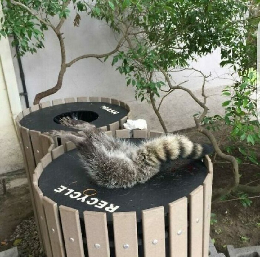 Anziché far foto soccorretemi...