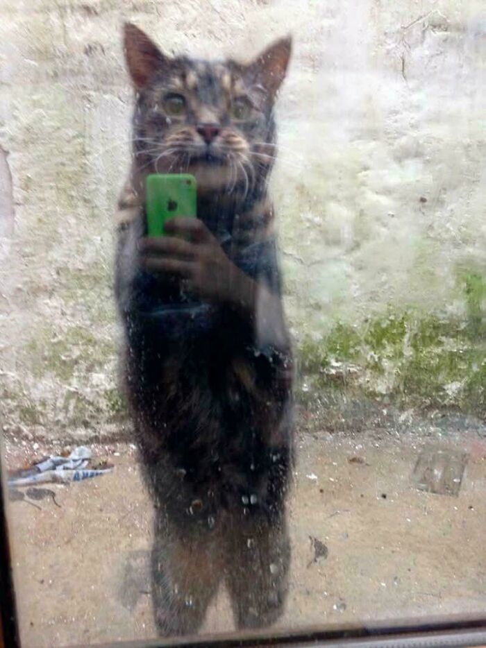 Quando un vetro cambia il risultato finale di uno scatto curioso