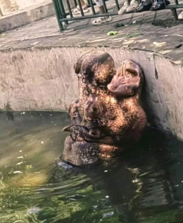 Dipende da come guardi la foto...