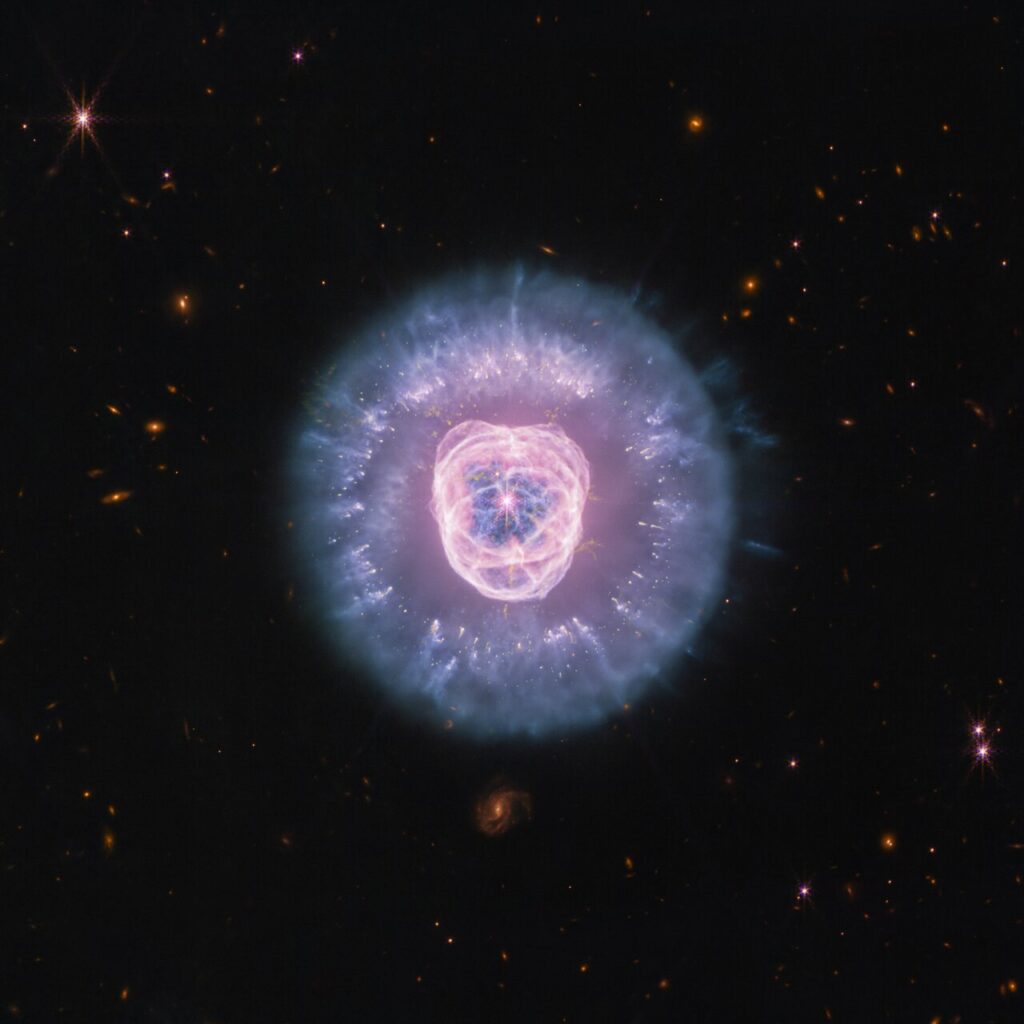 The James Webb Space Telescope recently imaged planetary nebula NGC 2392, which is nicknamed the Lion Nebula due to its distinct shape. This near- and mid-infrared composite image reveals the complex structure of the nebula, which has formed and continues to be sculpted by the remains of a dying star. The stellar core, also known as a white dwarf, is located at the centre and looks like the button nose of the lion. The central dying star is so hot that its radiation is “cooking” everything from the inside and producing a bubble of ionized hydrogen gas as it does. The gas bubble, which is the lion’s “face,” features cavernous shells and rings with tendrils that are expanding and destroying dust upon encounter. However, not all dust is obliterated from the scene. The lion’s mane is the interior of a dust shell that is being illuminated by the central star’s core. Within the mane some compact clumps of dust (red and orange) have managed to survive so far and are protecting the material that lies behind them. Additional clumps of molecular hydrogen appear yellow. The Lion Nebula is a snapshot in time. It’s taken several thousand years for the gas and dust to be shaped in this way, and it continues to change as the star drives away the material. Astronomers estimate NGC 2392 will eventually disperse in about 10,000 years, which is a relatively short period in astronomical terms. [Image description: Planetary nebula NGC 2392, also called the Lion Nebula, against the black background of space. The nebula is in the centre, circular in shape, and looks like a male lion’s head. In the very centre is a small, pinkish-white circle with eight-point diffraction spikes, a white dwarf star. Surrounding the star are light purple-pink cavernous bubbles and shell-like rings. The bubbles and shells collectively form an oval with two small, wide arcs near the top, reminiscent of a lion’s face and its ears. What appears to be extended outward from the lion’s face is