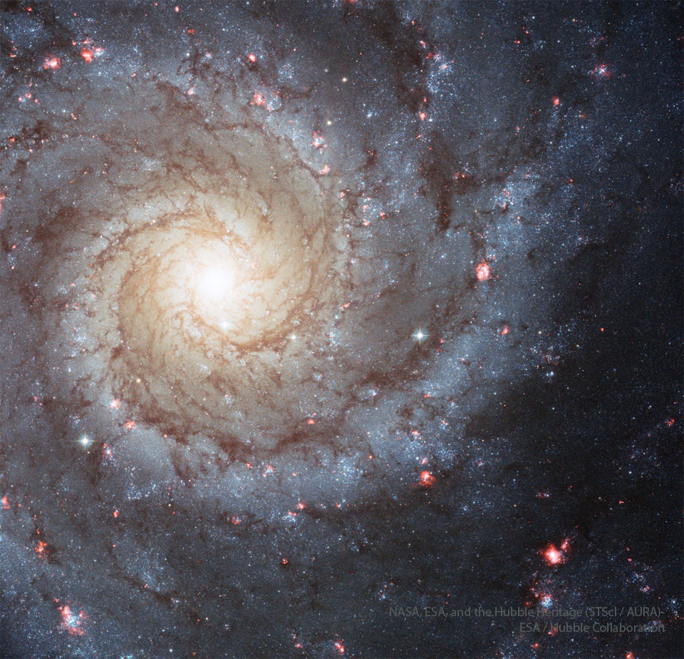 m74_hst_960