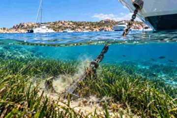 Sardegna, migliaia di barche assediano le praterie di posidonia