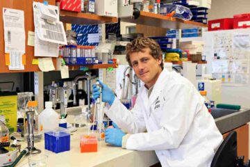 Alzheimer e SLA, una nuova tecnica porta gli anticorpi nel cervello e combatte le proteine tossiche