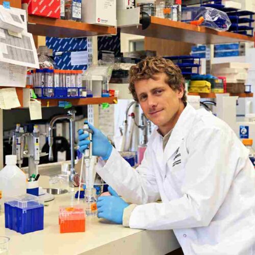 Alzheimer e SLA, una nuova tecnica porta gli anticorpi nel cervello e combatte le proteine tossiche