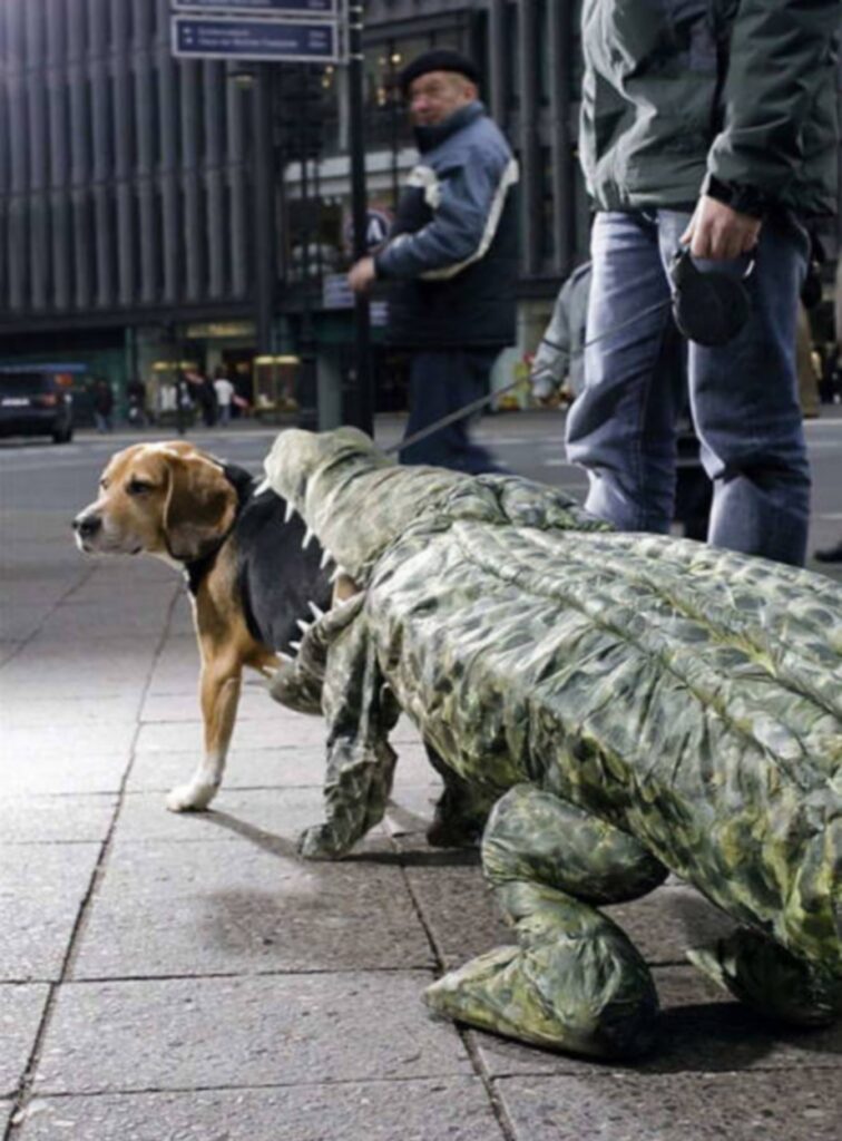 cool_dog_costume_ideas_for_halloween_640_02