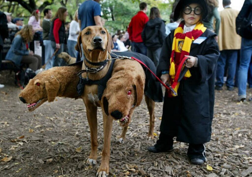 cool_dog_costume_ideas_for_halloween_640_03