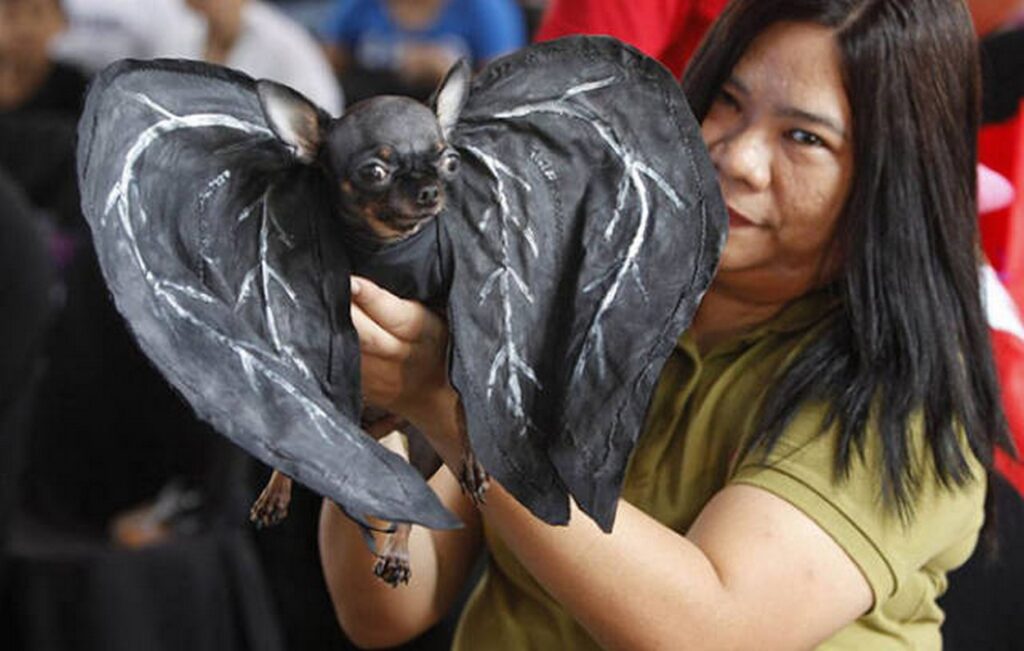 cool_dog_costume_ideas_for_halloween_640_11