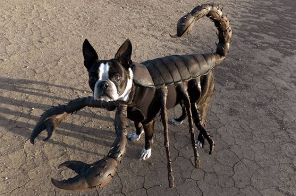 cool_dog_costume_ideas_for_halloween_640_14