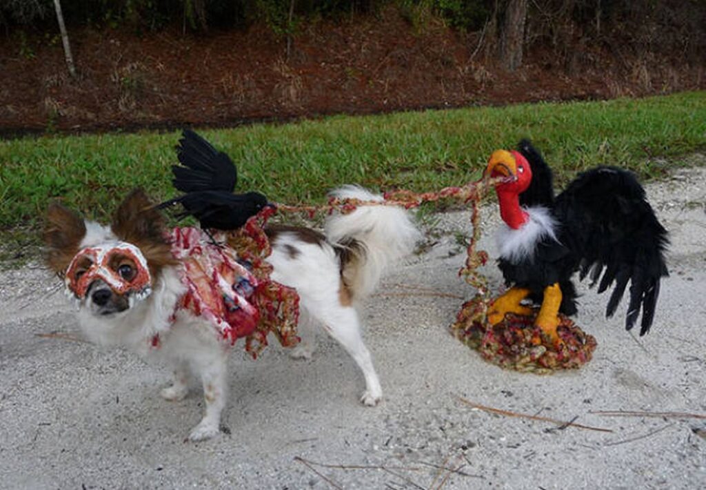 cool_dog_costume_ideas_for_halloween_640_15