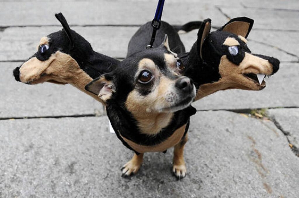 cool_dog_costume_ideas_for_halloween_640_16