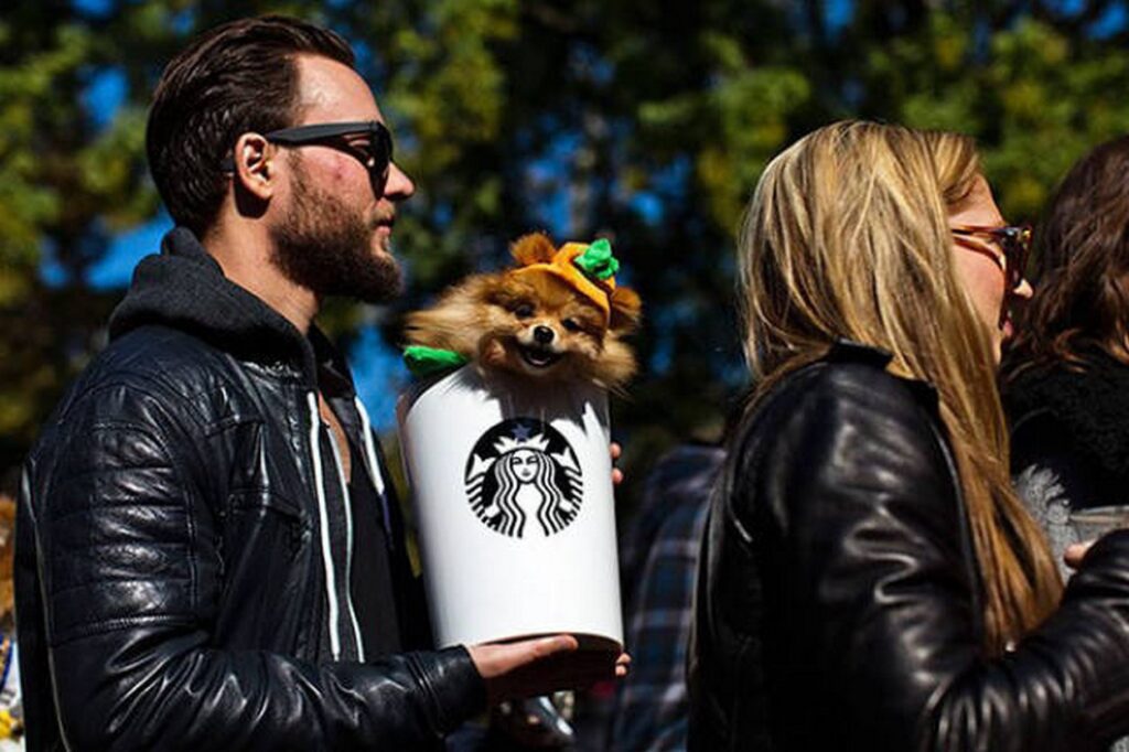 cool_dog_costume_ideas_for_halloween_640_19