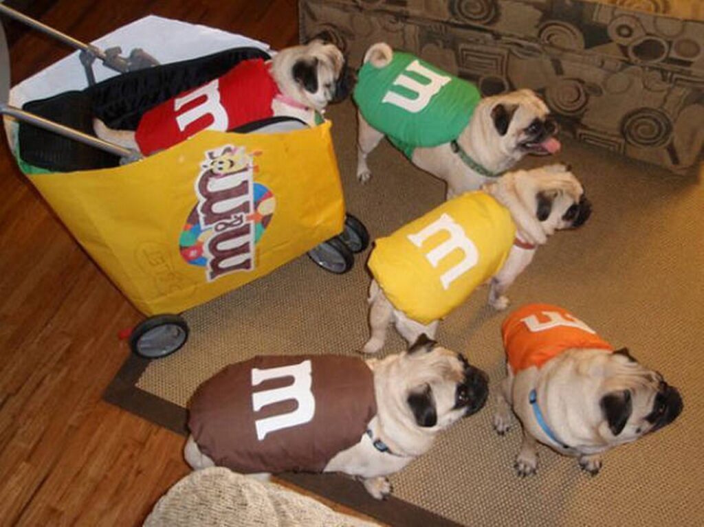 cool_dog_costume_ideas_for_halloween_640_24