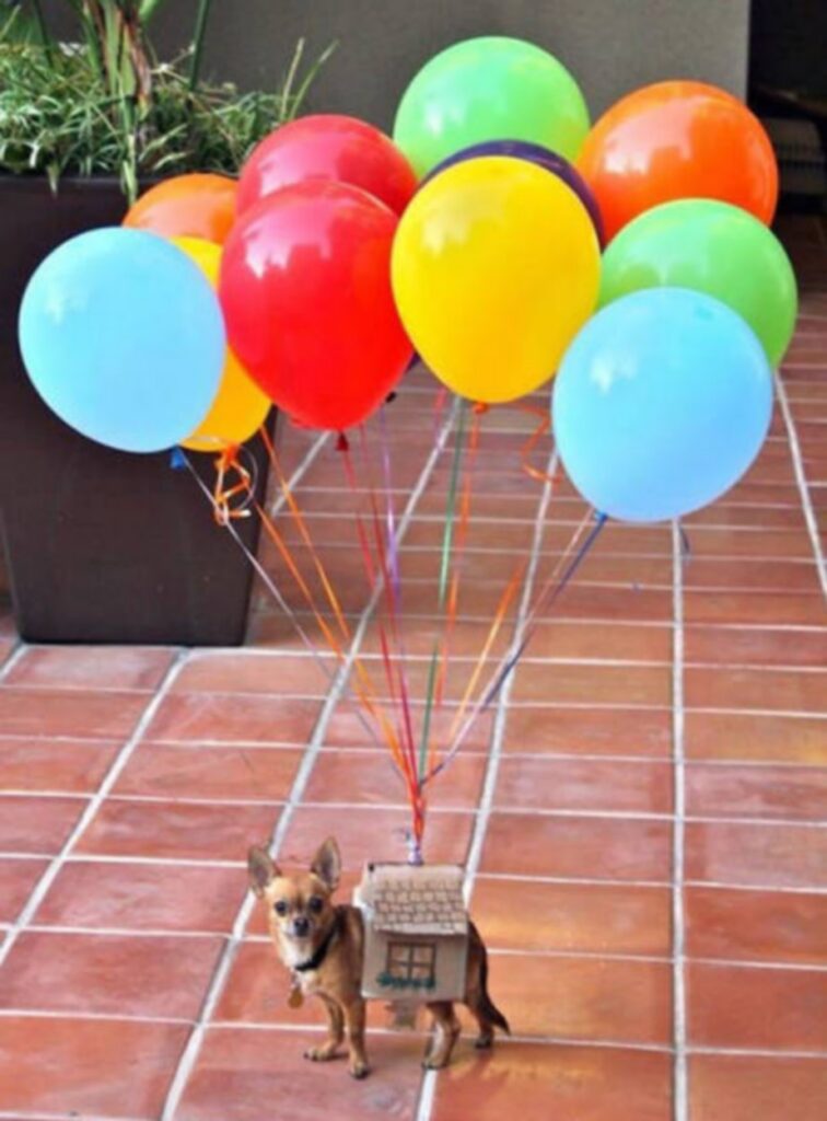 cool_dog_costume_ideas_for_halloween_640_26