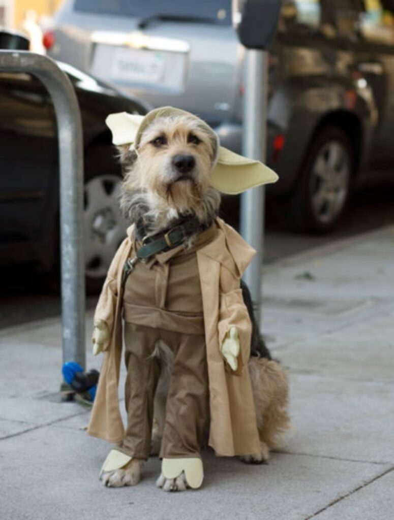 cool_dog_costume_ideas_for_halloween_640_28