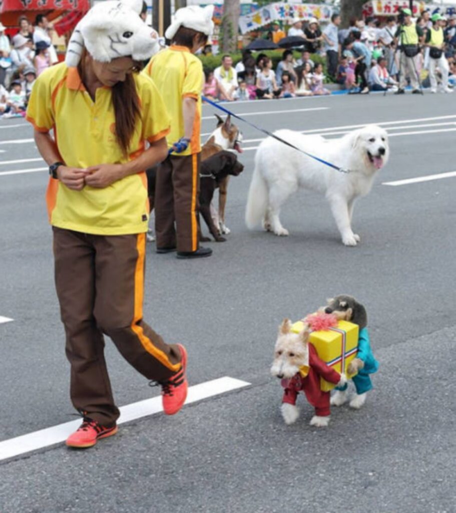 cool_dog_costume_ideas_for_halloween_640_30
