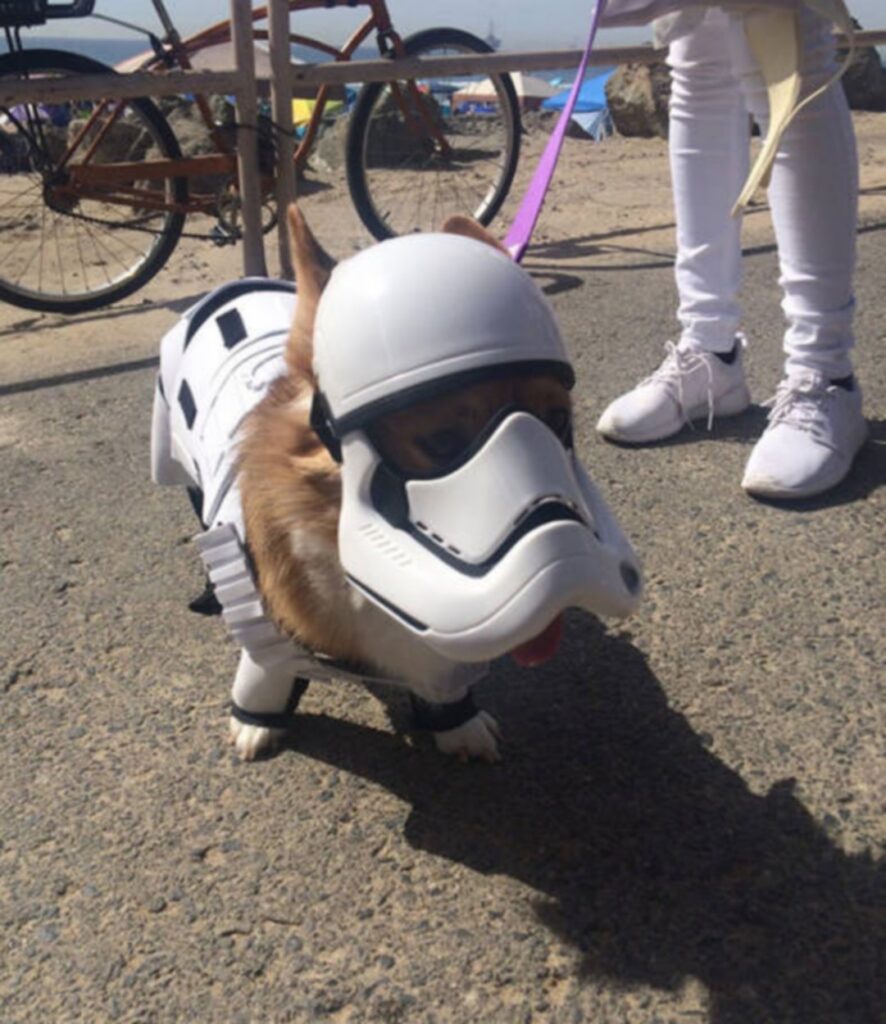 cool_dog_costume_ideas_for_halloween_640_32