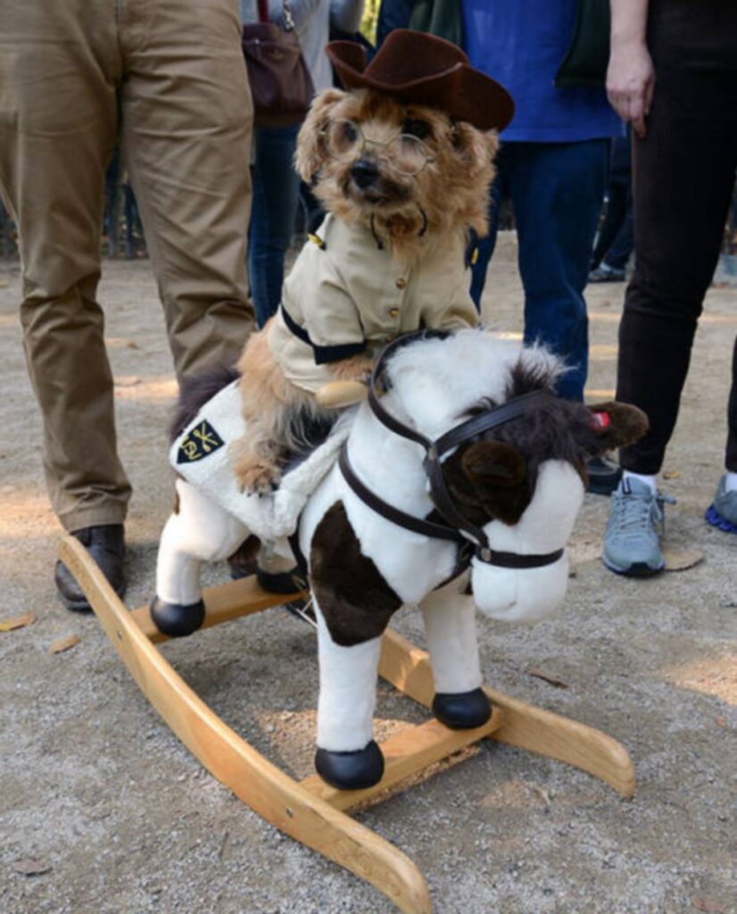 cool_dog_costume_ideas_for_halloween_640_34