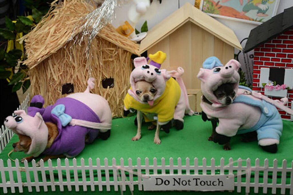 cool_dog_costume_ideas_for_halloween_640_38