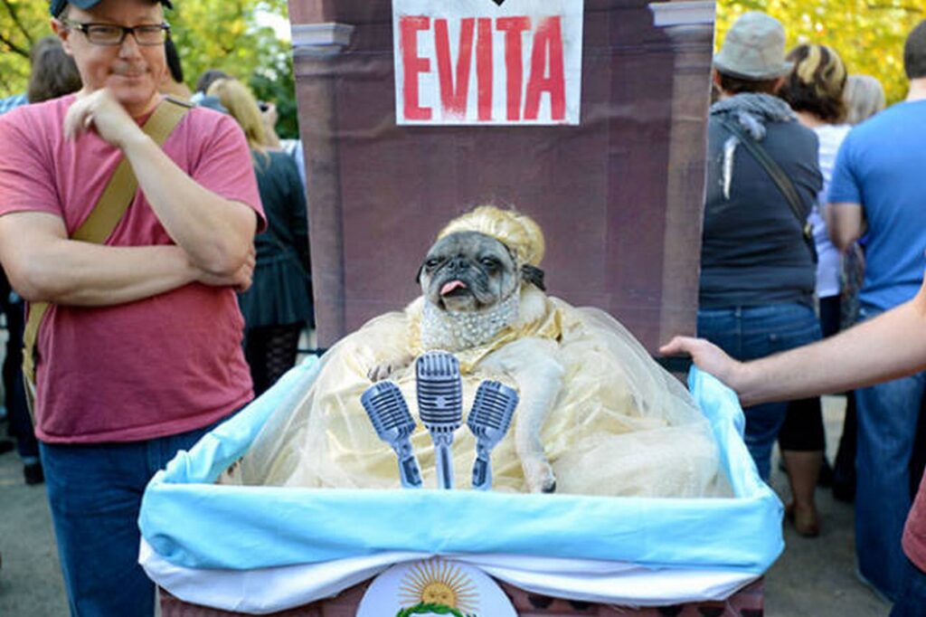 cool_dog_costume_ideas_for_halloween_640_40