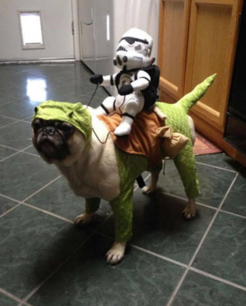 cool_dog_costume_ideas_for_halloween_640_44