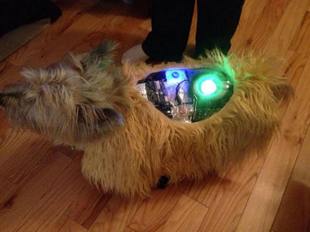 cool_dog_costume_ideas_for_halloween_640_47