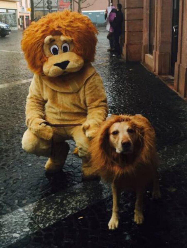 cool_dog_costume_ideas_for_halloween_640_55